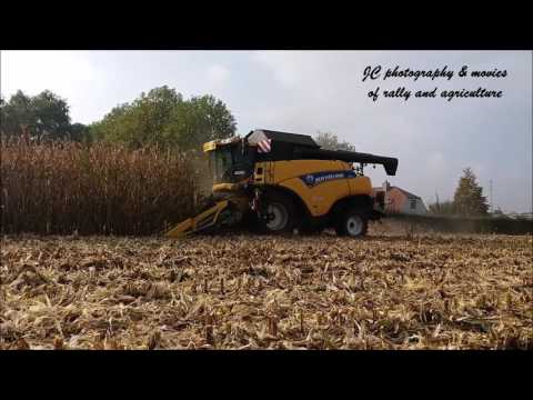 mais dorsen loonwerkbedrijf Vandemaele 2016