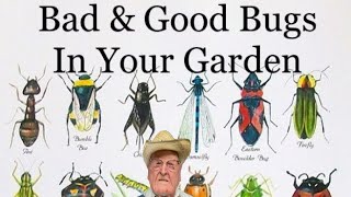 Bad & Good Bugs in Your Garden