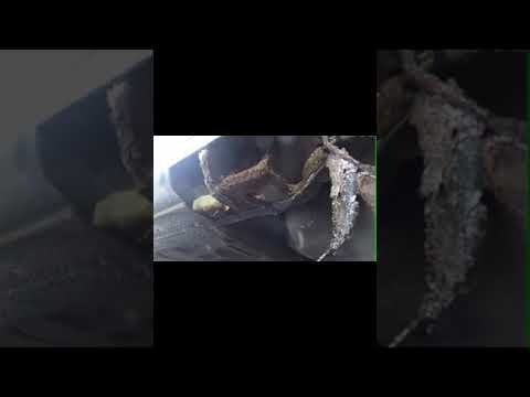 Rover 75 Sill repairs, Part 1