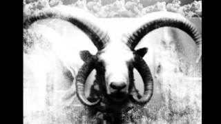 Omnyn - THE PRIUS HARBINGER