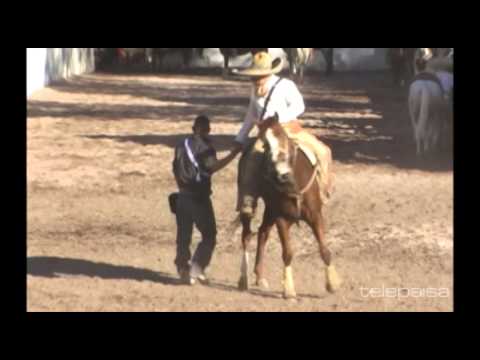 13 - The Best of the Coleaderos - El Salitre, Villanueva, Zacatecas