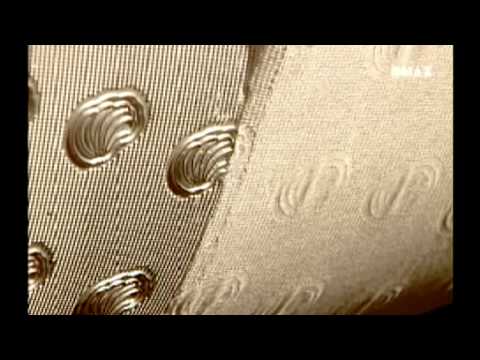 Com'è fatto - carta igienica