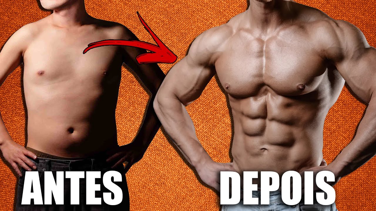 TREINO DE MUSCULAÇÃO FULL BODY  [COMPLETO]