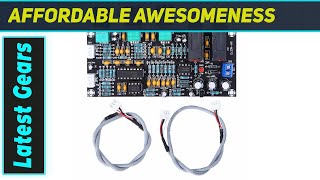 LiebeWH Amplifier: Best Budget Amp Board
