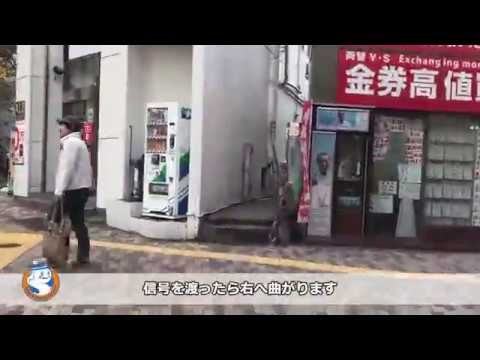 youTubeサムネイル画像