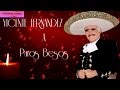 Vicente Fernandez  A Puros Besos