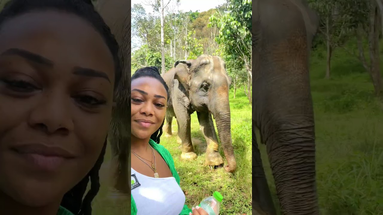 YouTube Short thumbnail