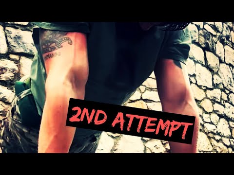 Press up challenege 2nd attempt 233! 