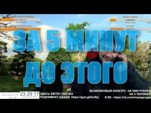 МОПС НАСРАЛ В ШЛЯПУ НА СТРИМЕ 15/04/2017г.