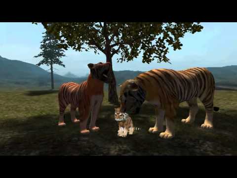 Real Tiger Simulator Video