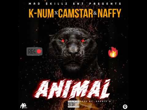 ANIMAL  K num feat Camstar and Naffy produced by Double M