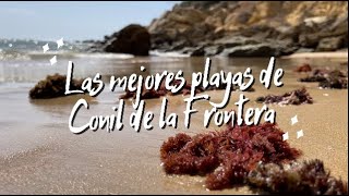🏖 Las MEJORES playas de CONIL DE LA FRONTERA. 🏝 Playas de CÁDIZ.
