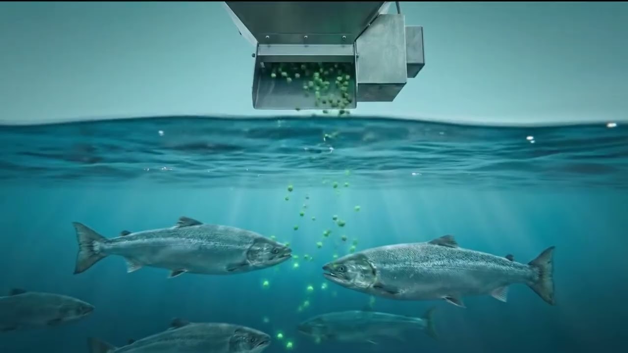 Vignette de la vidéo promotionnelle de SEVO Bioscience