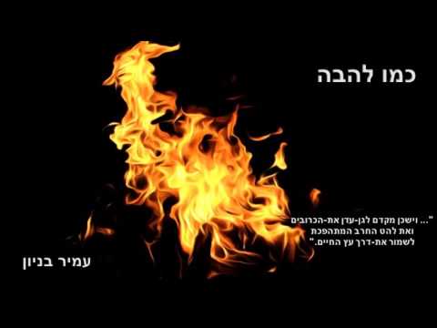 עמיר בניון
