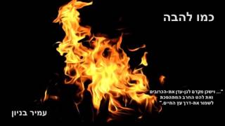 עמיר בניון