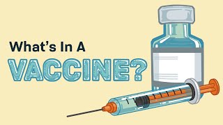 What's In A Vaccine?