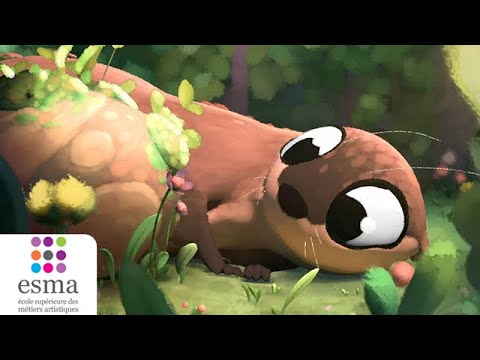 Je suis un Caillou // I am a Pebble - ESMA 2020