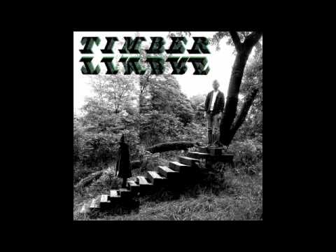 Timber Timbre - Demon Host