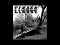 Timber Timbre - Demon Host 