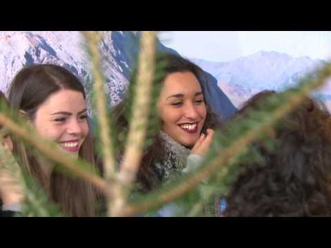 IMS 2016 - IMPRESSIONS