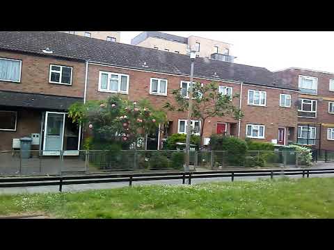 View outside my window