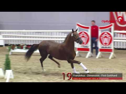 19  Franziskus - Dimension - First Gotthard