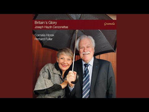 She Never Told Her Love, Hob. XXVIa:34