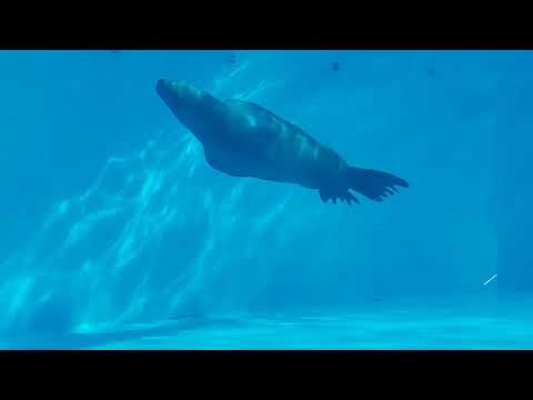 Živalski vrt ZOO Ljubljana