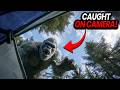 Bigfoot Spotted In 2026 The Clearest Footage Ever Recorded