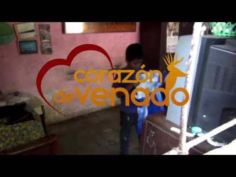 Trailer Corazón de Venado