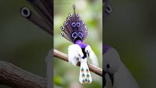 This Tiny Bird Just Stole the Show 😍🔥 #birds #birdsounds #shortfeed #viralshorts