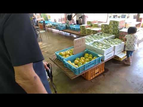 Esta es la tienda el 17 de septiembre de 2023 en Japón.