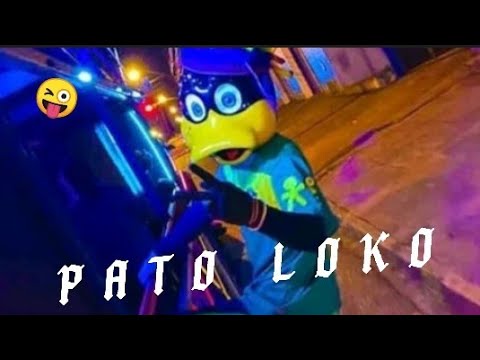 A lenda De Rp! PATO LOKO