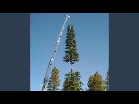 100 Miles To Boston (feat. Papo2oo4)