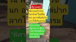 Download lagu #remix #dj #edm #music #sound #automobile #mindset #colonelkkjϟ #farming #travel mp3 Download lagu #remix #dj #edm #music #sound #automobile #mindset #colonelkkjϟ #farming #travel mp3