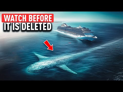 This SEA MONSTER Makes Megalodon Look TINY – Ancient REPTILE Could Be Earth’s Largest PREDATOR