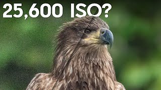 SEVERE NOISE? What's New in Topaz DeNoise (May 2021 Update)