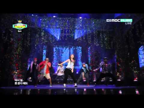 120814 BoA - Only One + Encore (Show Champion)