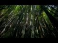 Tritonal feat Cristina Soto - Forgive Me Forget You ...