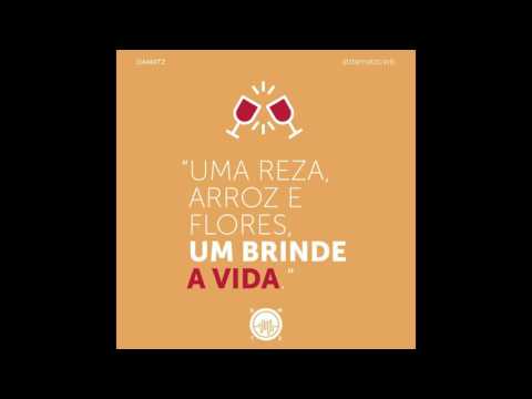 Damatz - Arroz e Flores