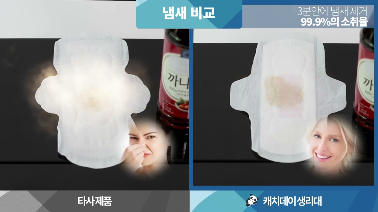 캐치데이