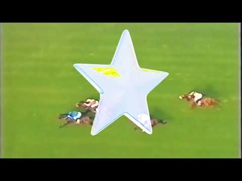 Hotel Rubio - Blessyou (Visualizer)