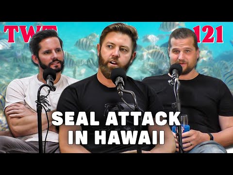 Woman Attacked By Seal in Hawaii - The Wild Times Ep. 121