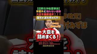 大臣を詰めまくる！【辺野古沖転覆事故】（参政党・梅村みずほ氏）