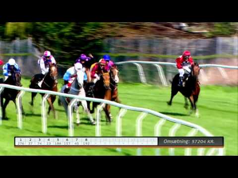 2014.04.26 Dansk Jockey Club Cup - Bank Of Burden