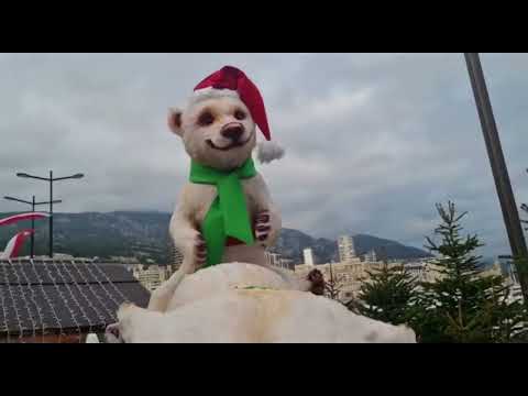 New Year's Eve monte Carlo Monaco