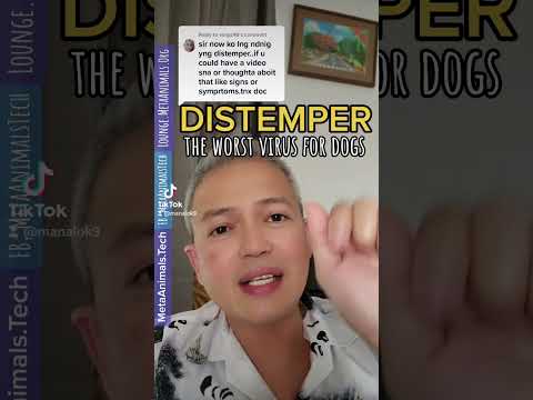 THE WORST VIRUS THAT CAN HAPPEN TO YOUR DOG.#distemper