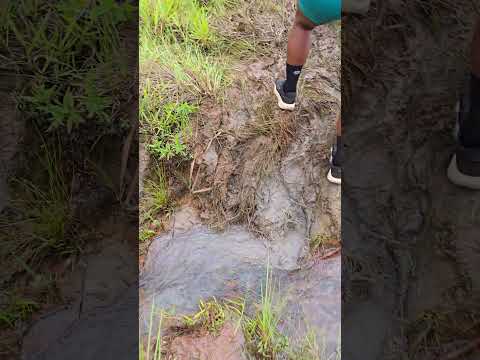 Montrail Serra do Tucano 2025 - Bonfim, Roraima
