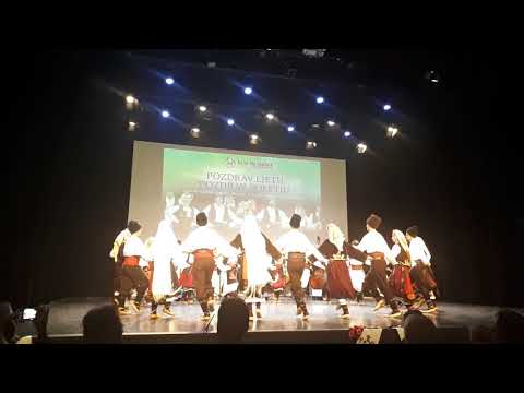 Omladinski ansambl KUD Mladost LJubljana