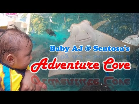 [2015.02.28] Baby AJ @ The Adventure Cove Sentosa